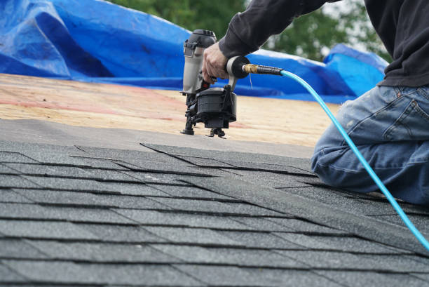 Best Storm Damage Roof Repair  in Lexington, TN